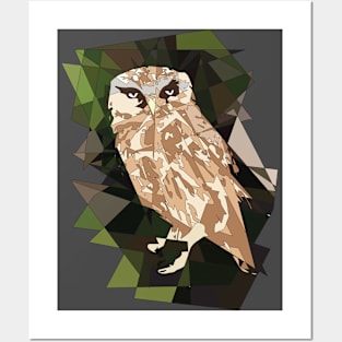 Night owl Posters and Art